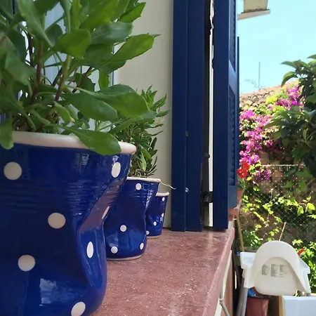 Hotel Duru *