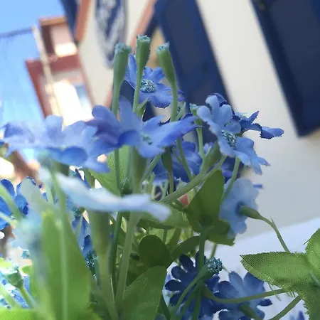 Otel Duru Ayvalı