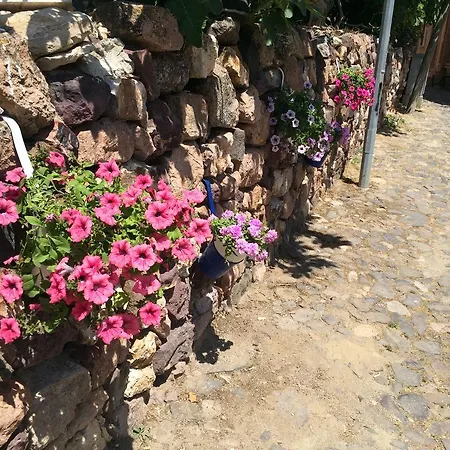 Otel Duru Ayvalı