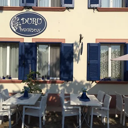 Duru Ayvalı